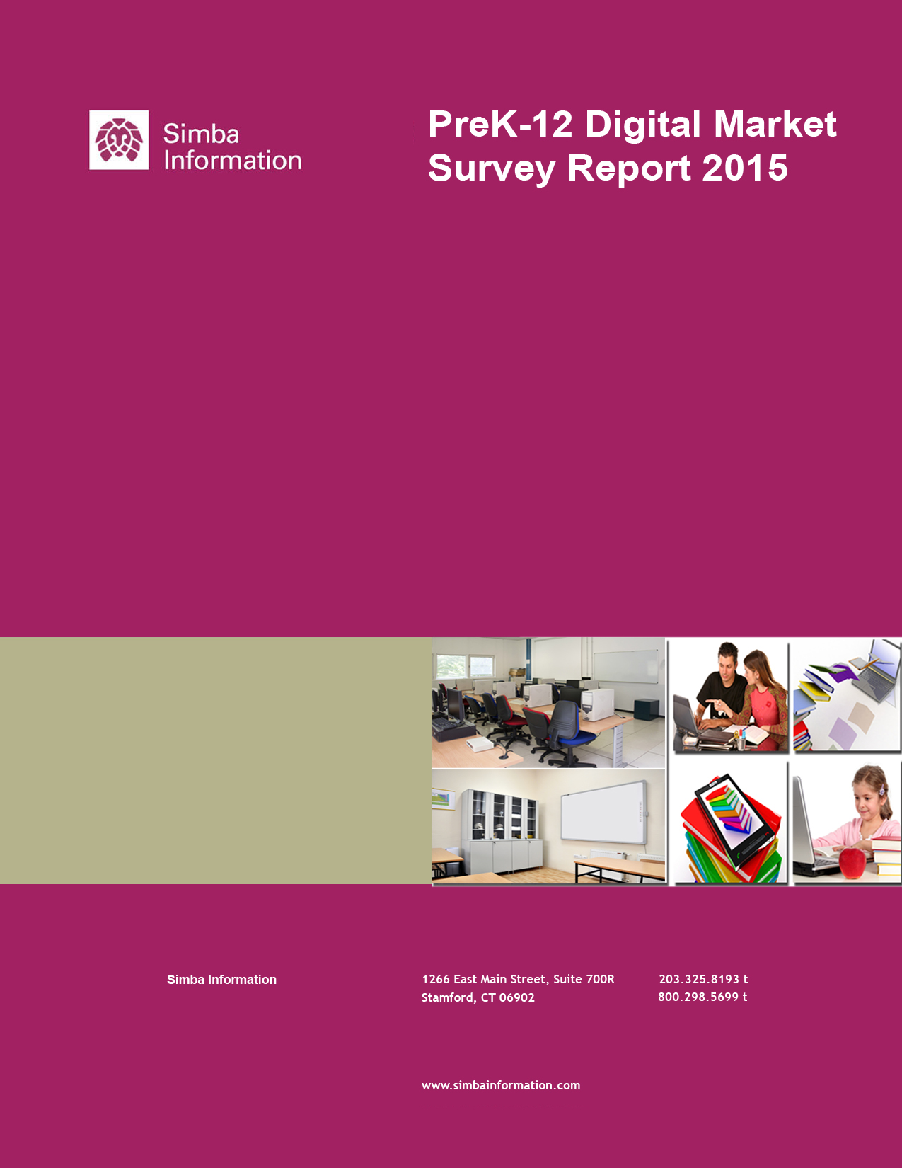 PreK-12 Digital Market Survey Report 2015